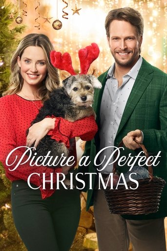 Watch Picture a Perfect Christmas 2019 poster