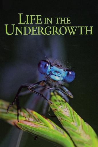 Watch Life in the Undergrowth 2005 poster
