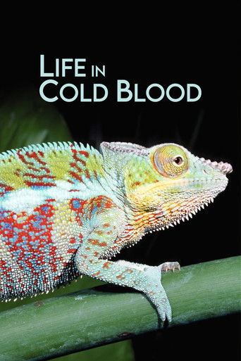 Watch Life in Cold Blood 2008 poster