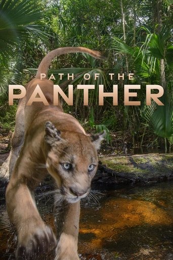 Watch Path of the Panther 2022 poster