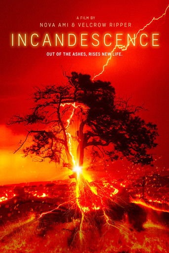 Watch Incandescence 2024 poster