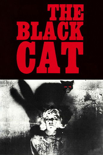 Watch The Black Cat 1966 poster