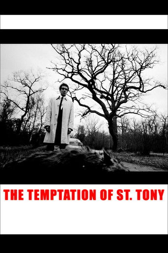 Watch The Temptation of St. Tony 2009 poster