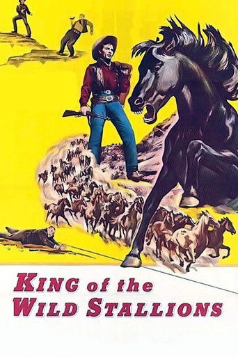 Watch King of the Wild Stallions 1959 poster