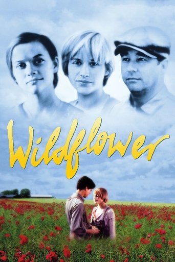 Watch Wildflower 1991 poster