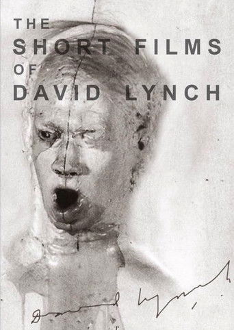Watch The Short Films of David Lynch 2002 poster