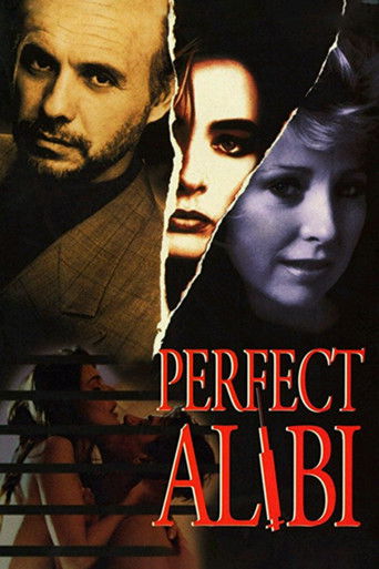 Watch Perfect Alibi 1995 poster