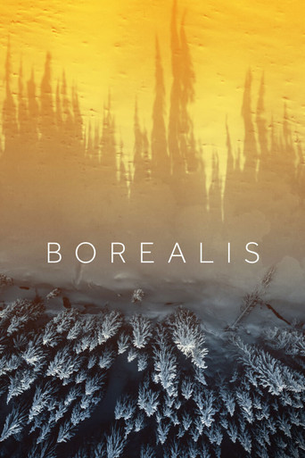 Watch Borealis 2020 poster