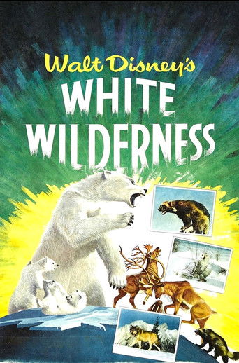 Watch White Wilderness 1958 poster