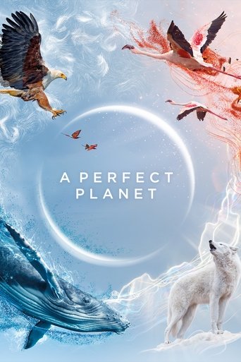 Watch A Perfect Planet 2021 poster