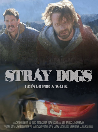 Watch Stray Dogs 2020 poster