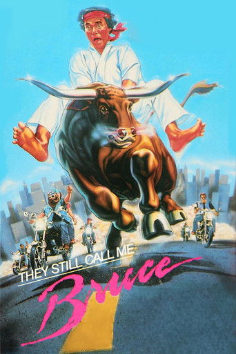 Watch They Still Call Me Bruce 1987 poster