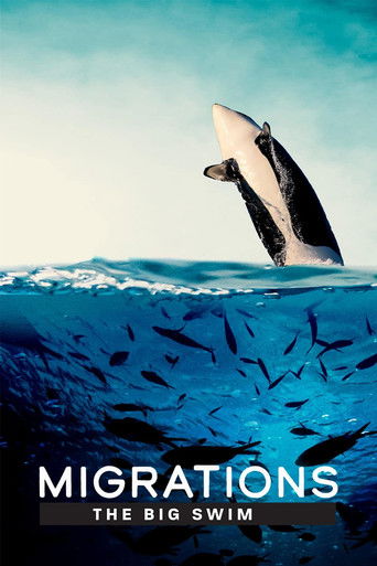 Watch Migrations: The Big Swim 2020 poster