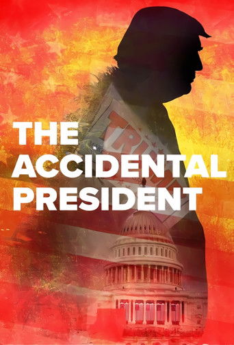 Watch The Accidental President 2020 poster