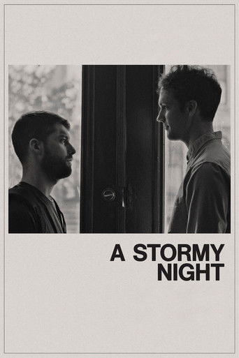 Watch A Stormy Night 2020 poster