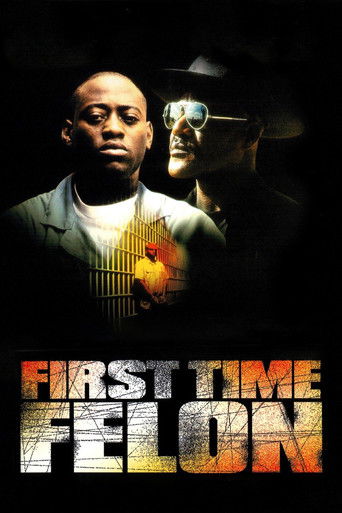 Watch First Time Felon 1997 poster