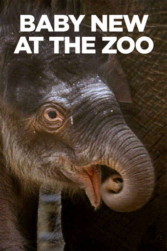 Watch Baby New at the Zoo 2007 poster