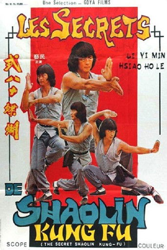 Watch The Secret Shaolin Kung-Fu 1979 poster