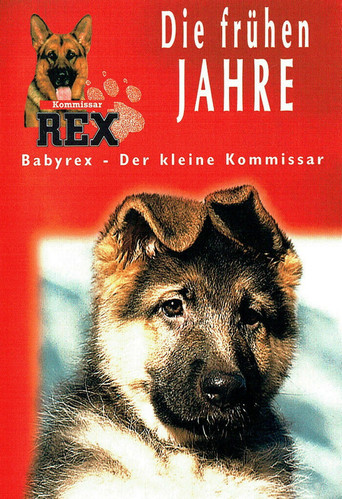 Watch Baby Rex 1997 poster