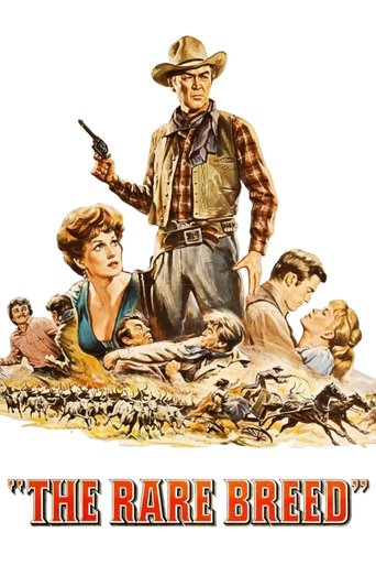 Watch The Rare Breed 1966 poster
