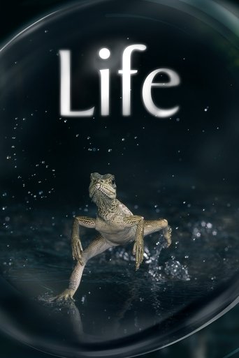 Watch Life 2009 poster