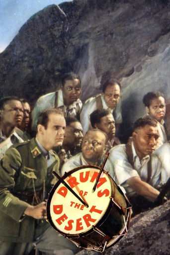 Watch Drums of the Desert 1940 poster