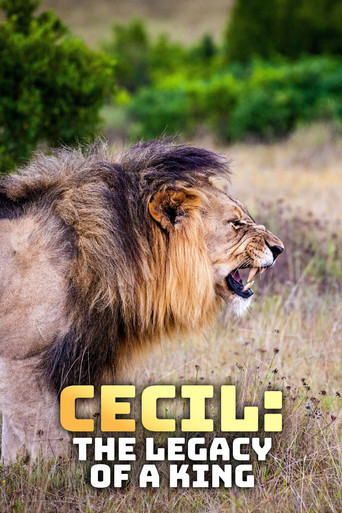Watch Cecil: The Legacy of a King 2020 poster