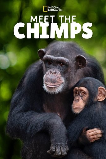 Watch Meet the Chimps 2020 poster