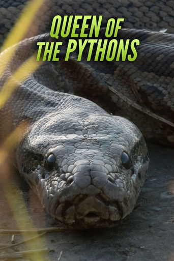 Watch Queen of the Pythons 2019 poster