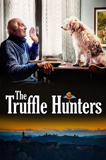 Watch The Truffle Hunters 2020 poster