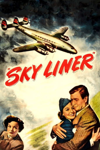 Watch Sky Liner 1949 poster
