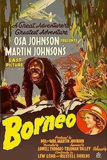 Watch Borneo 1937 poster