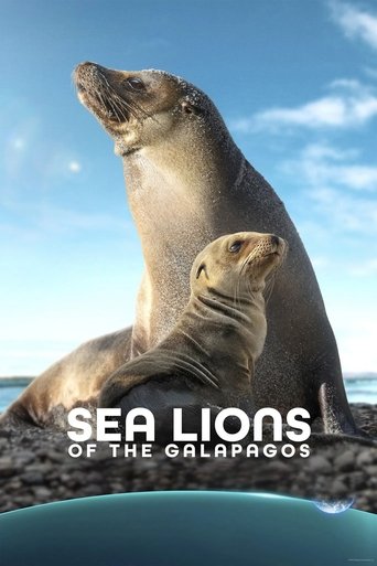 Watch Sea Lions of the Galapagos 2025 poster