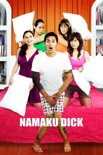 Watch My Name is Dick 2008 poster