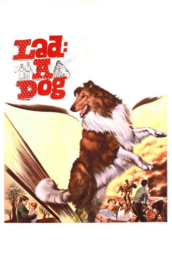 Watch Lad: A Dog 1962 poster