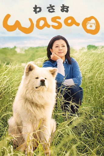 Watch Wasao 2011 poster