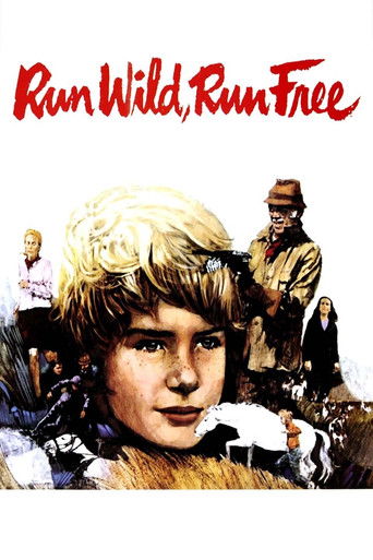 Watch Run Wild, Run Free 1969 poster