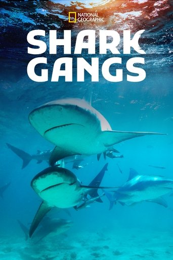 Watch Shark Gangs 2021 poster