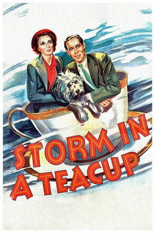 Watch Storm in a Teacup 1937 poster