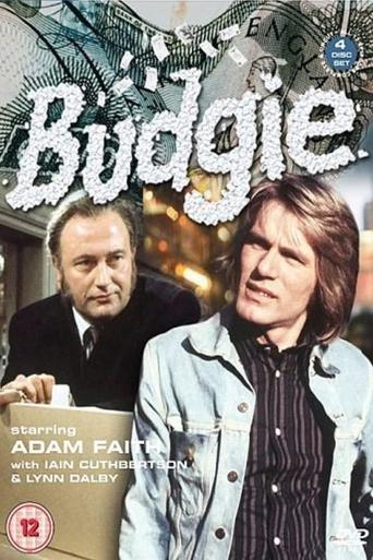 Watch Budgie 1971 poster