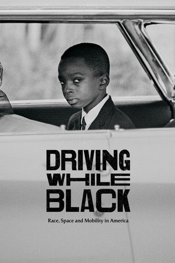 Watch Driving While Black: Race, Space and Mobility in America 2020 poster