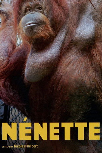 Watch Nénette 2010 poster