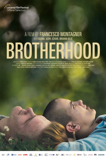 Watch Brotherhood 2022 poster