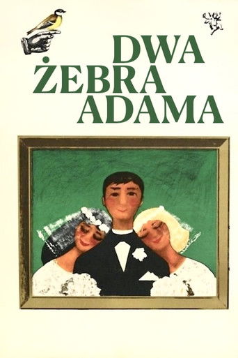 Watch Adam's Two Ribs 1964 poster