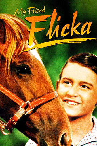 Watch My Friend Flicka 1943 poster