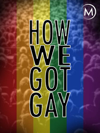 Watch How We Got Gay 2013 poster