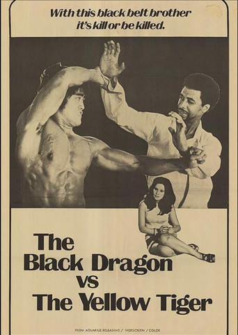 Watch The Black Dragon vs. the Yellow Tiger 1974 poster