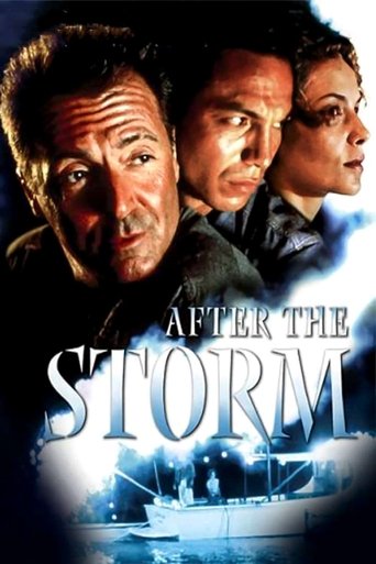 Watch After the Storm 2001 poster