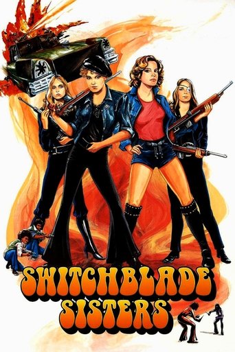 Watch Switchblade Sisters 1975 poster