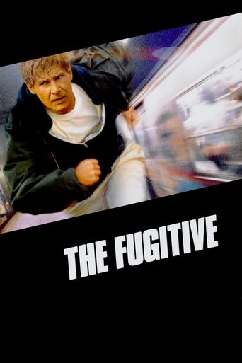 Watch The Fugitive 1993 poster
